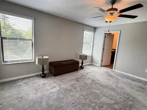 12717 Lemon Pepper Drive Riverview FL 33578