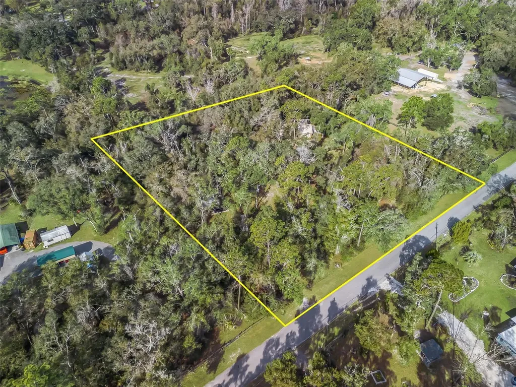 11398 Cr 682 Webster FL 33597