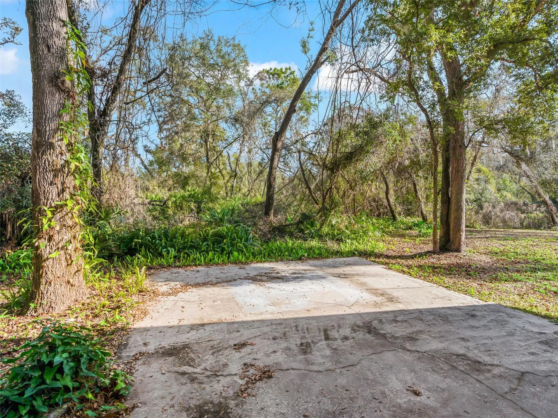 11398 Cr 682 Webster FL 33597