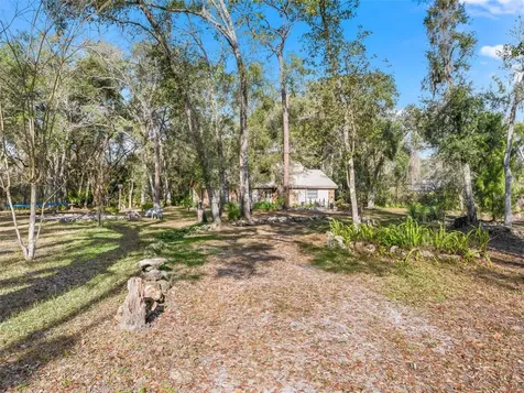 11398 Cr 682 Webster FL 33597