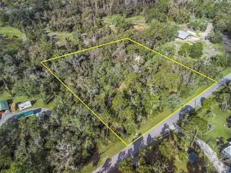 11398 Cr 682 Webster FL 33597
