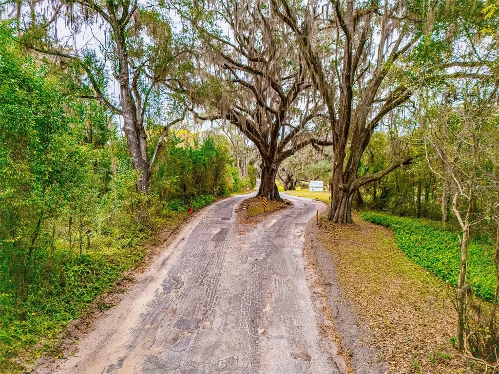 4505 NW 152nd Lane Reddick FL 32686