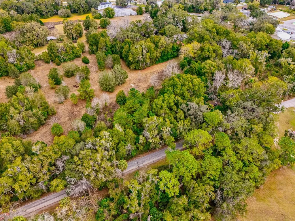 4505 NW 152nd Lane Reddick FL 32686