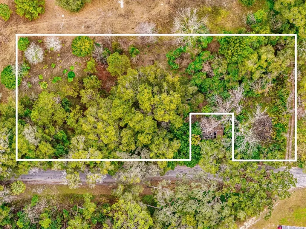 4505 NW 152nd Lane Reddick FL 32686