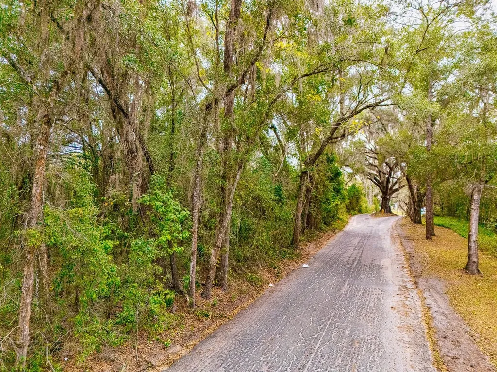 4505 NW 152nd Lane Reddick FL 32686