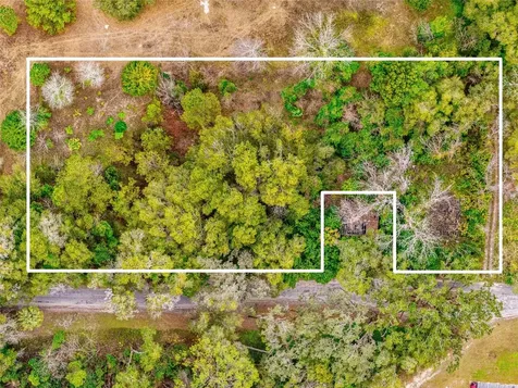 4505 NW 152nd Lane Reddick FL 32686
