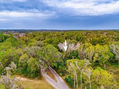 4505 NW 152nd Lane Reddick FL 32686