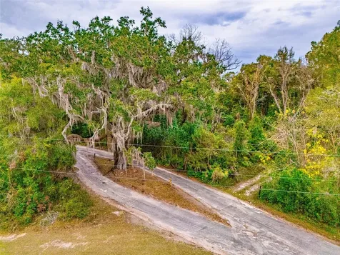 4505 NW 152nd Lane Reddick FL 32686