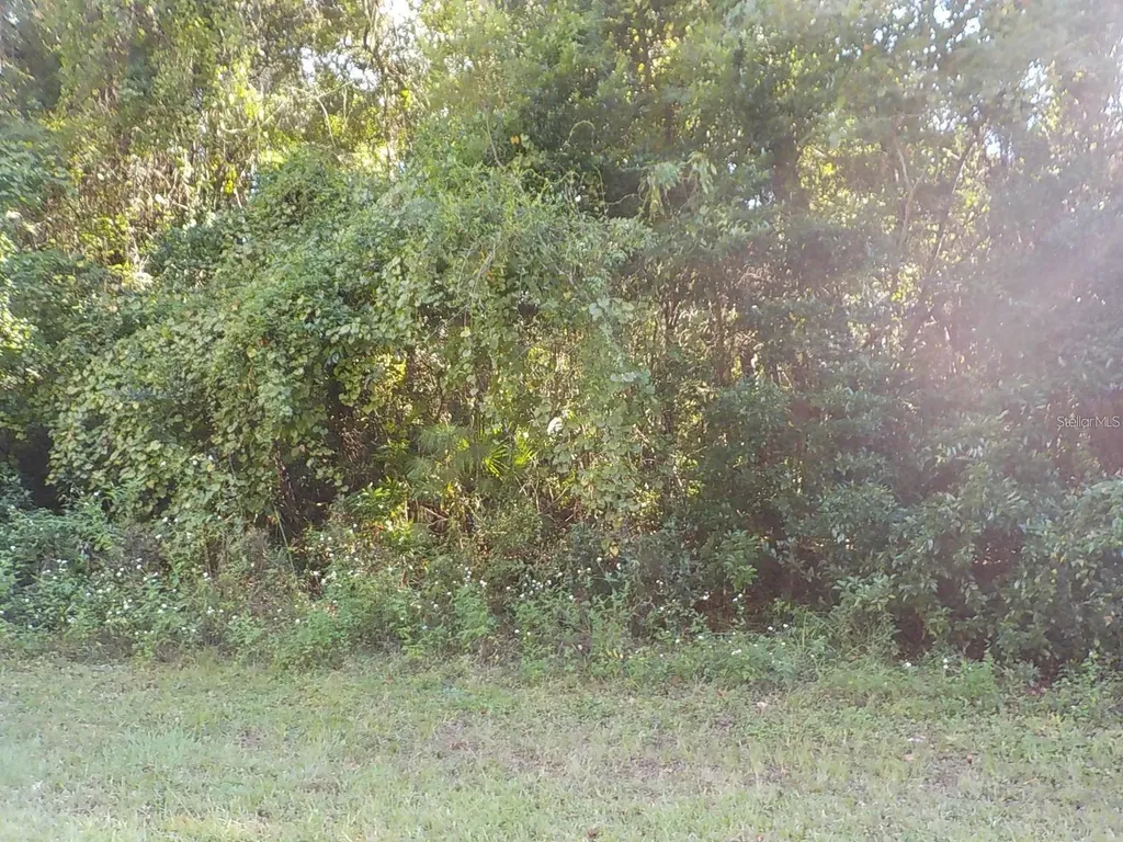 11641 N Kenlake Circle Dunnellon FL 34434