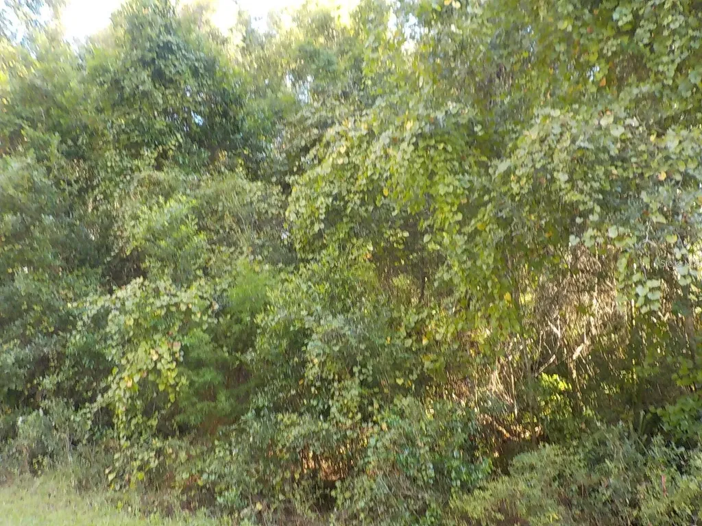 11641 N Kenlake Circle Dunnellon FL 34434