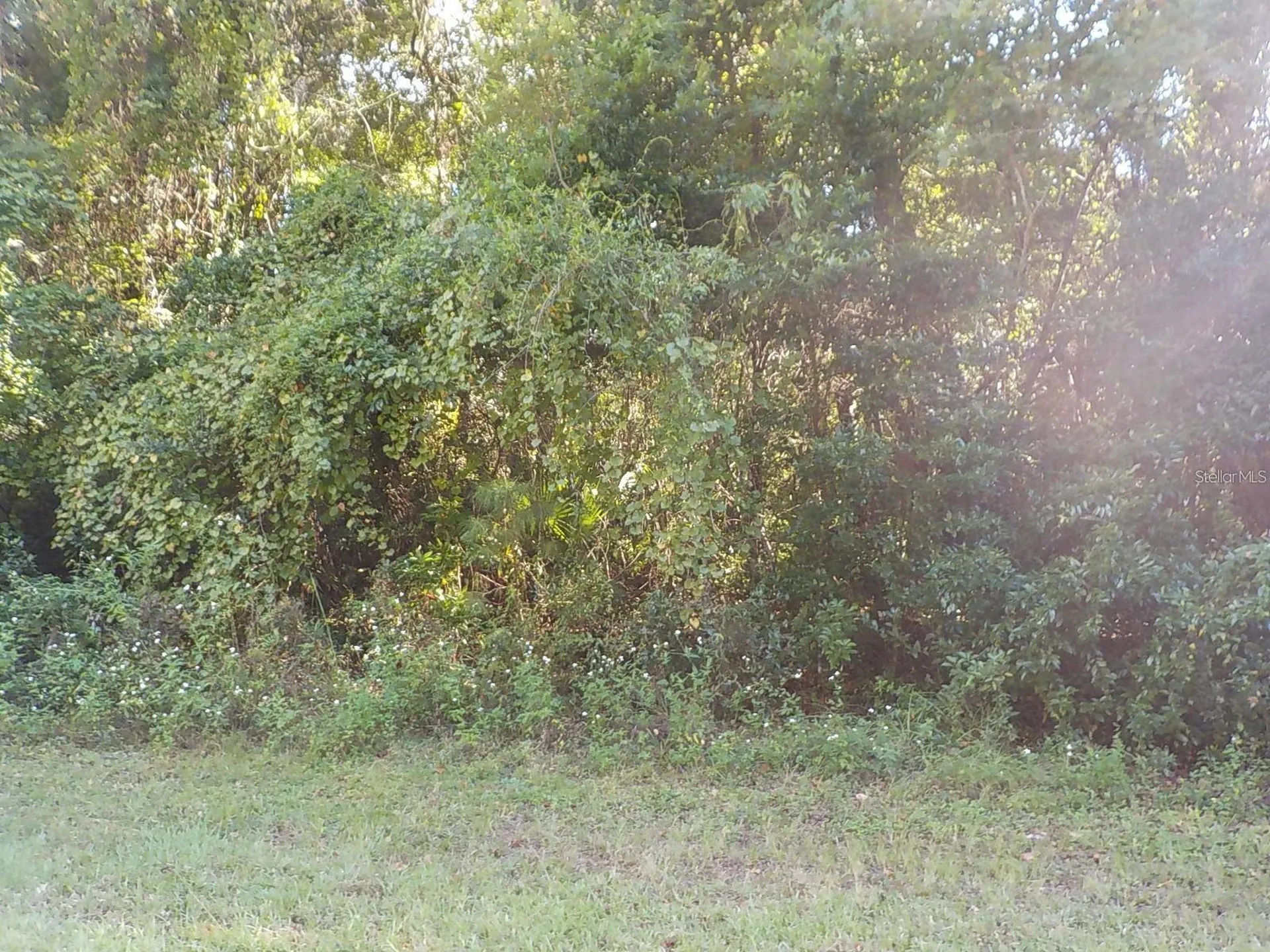 11641 N Kenlake Circle Dunnellon FL 34434