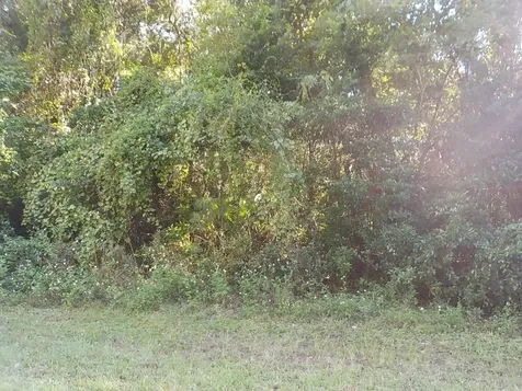 11641 N Kenlake Circle Dunnellon FL 34434