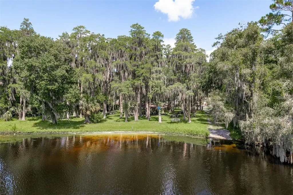 18619 Yocam Avenue Lutz FL 33549