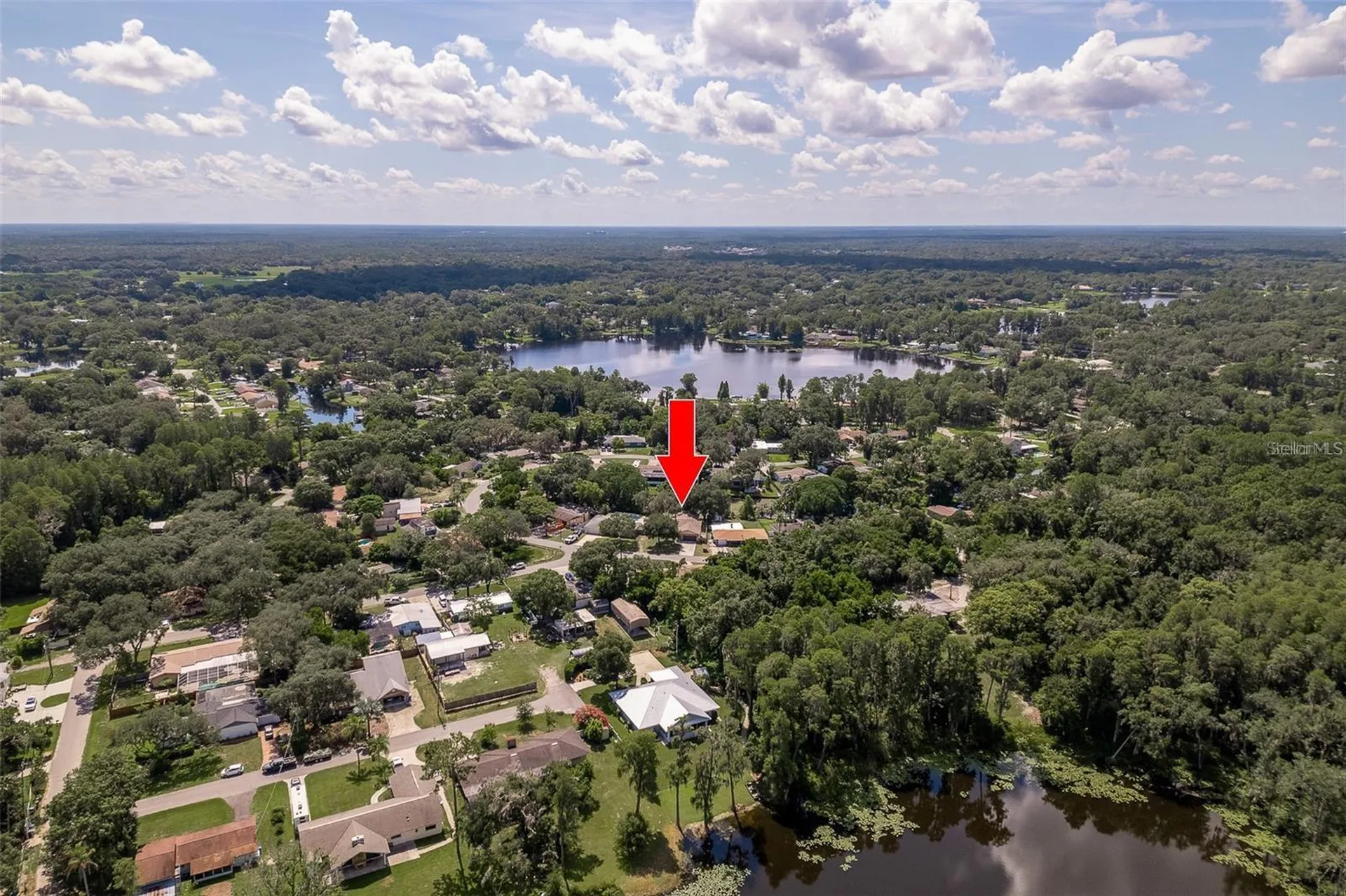 18619 Yocam Avenue Lutz FL 33549
