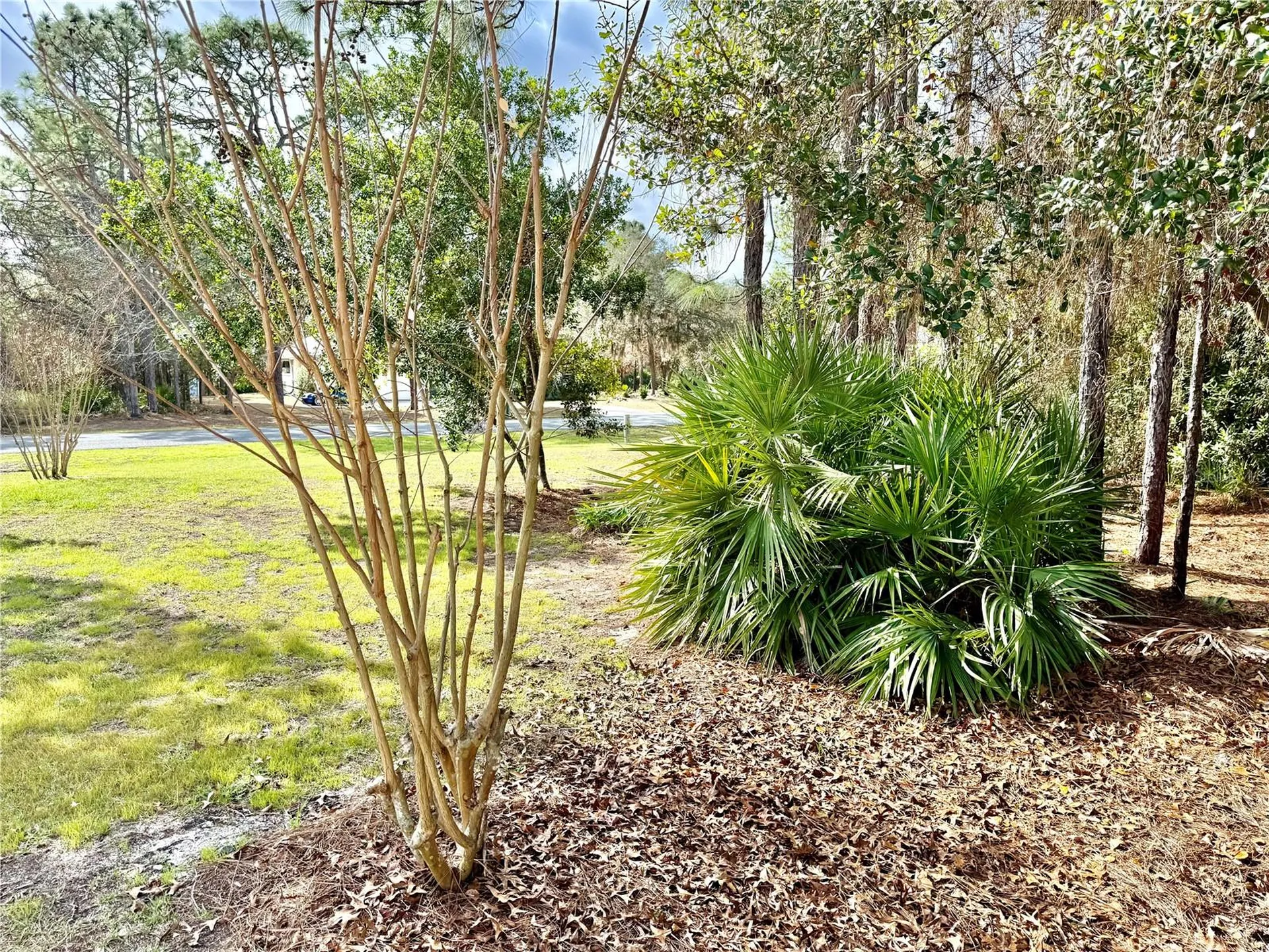 5263 W Yuma Lane Beverly Hills FL 34465