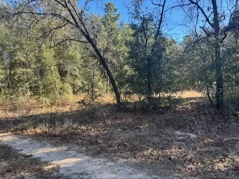 0000 NW 9th Place Ocala FL 34482