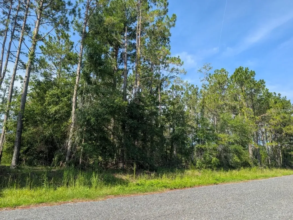 0 88th Trail Live Oak FL 32060