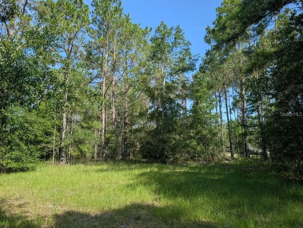 0 88th Trail Live Oak FL 32060