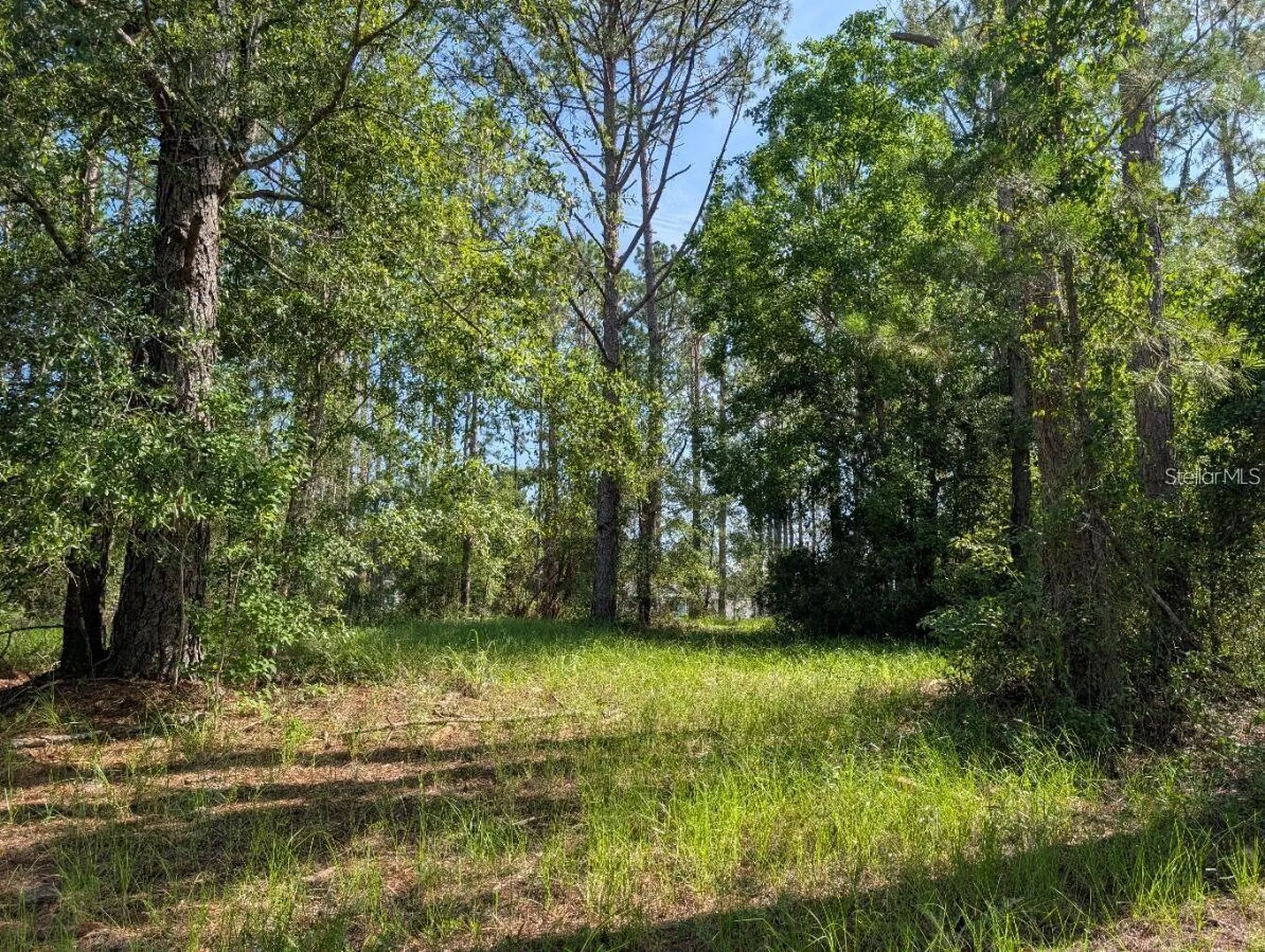 0 88th Trail Live Oak FL 32060