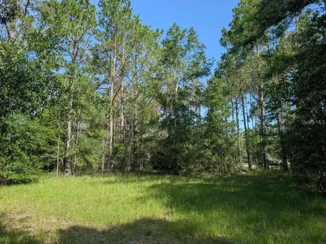 0 88th Trail Live Oak FL 32060