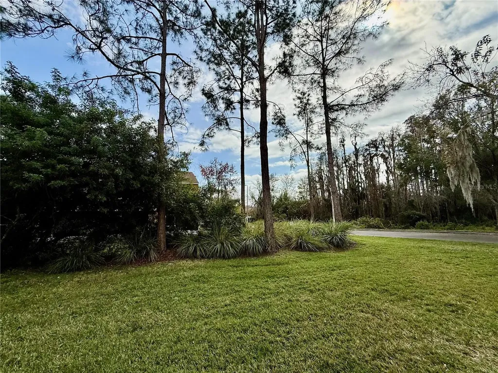 29920 Playa Del Rey Lane Wesley Chapel FL 33543