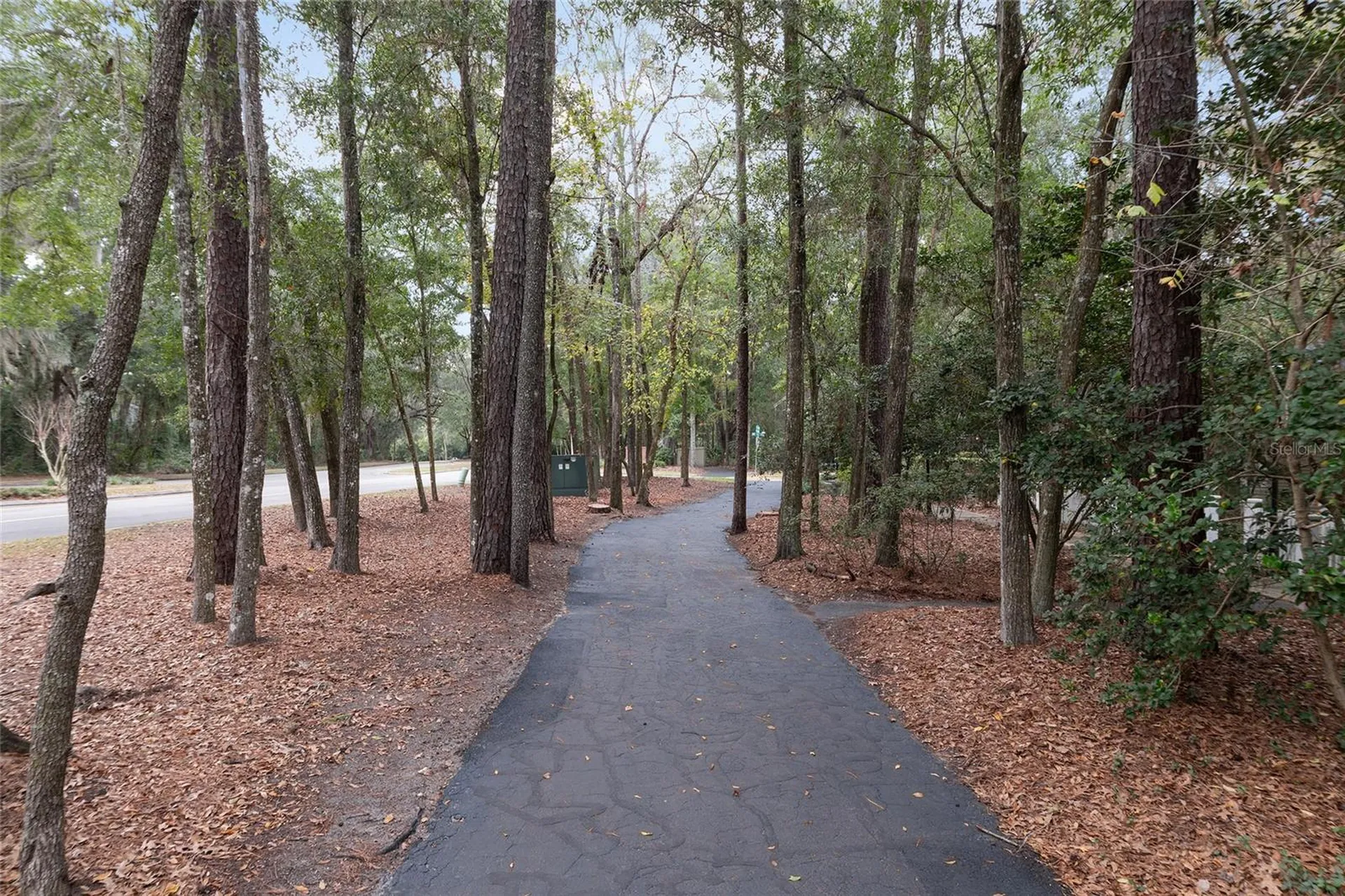 5240 SW 92nd Court Gainesville FL 32608