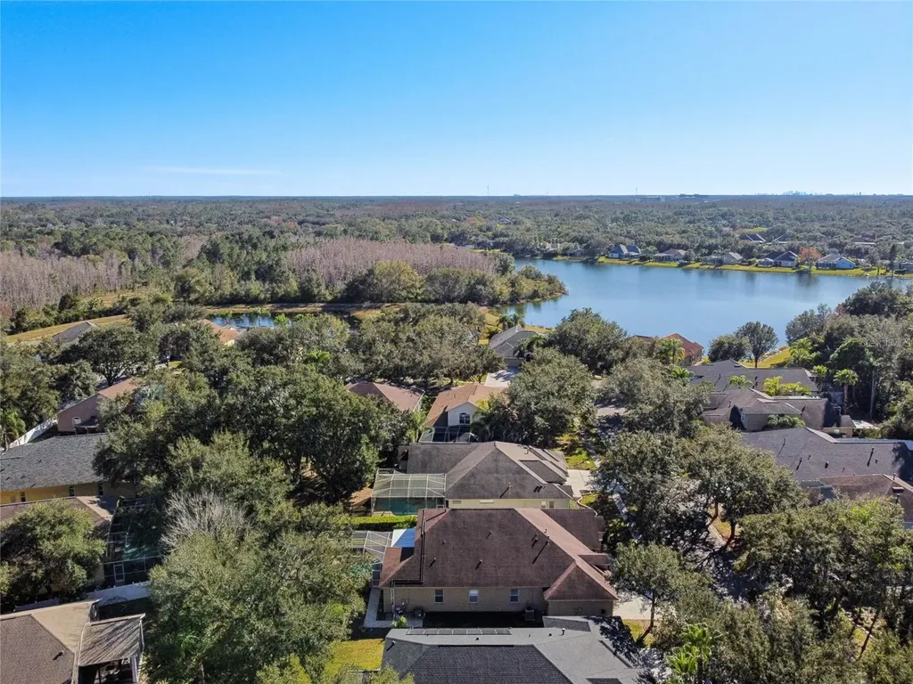 8359 Golden Prairie Drive Tampa FL 33647