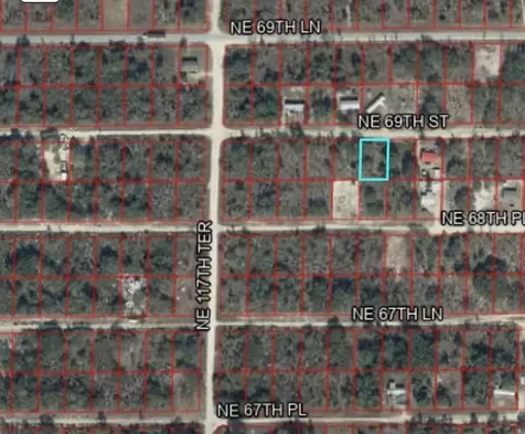 NE 69th Street Williston FL 32696