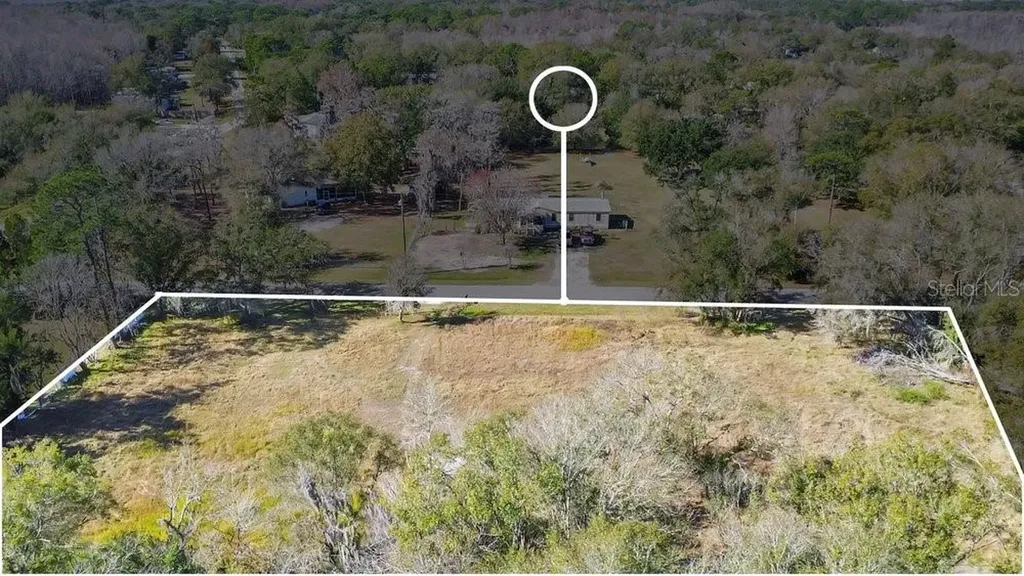 1426 Sierra Pines Boulevard Lutz FL 33558