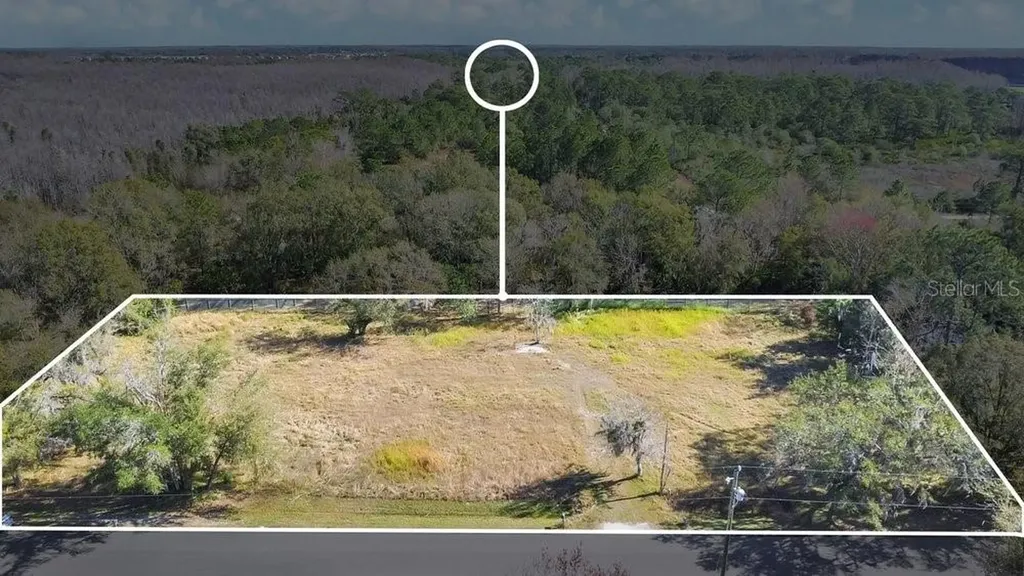 1426 Sierra Pines Boulevard Lutz FL 33558
