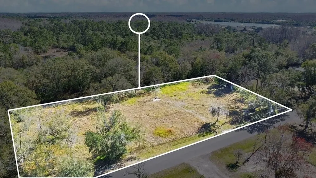 1426 Sierra Pines Boulevard Lutz FL 33558