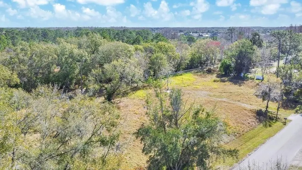 1426 Sierra Pines Boulevard Lutz FL 33558