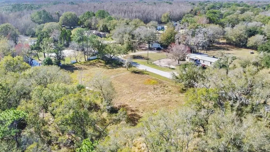 1426 Sierra Pines Boulevard Lutz FL 33558