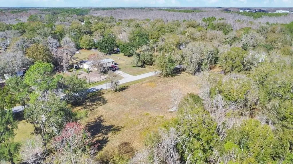 1426 Sierra Pines Boulevard Lutz FL 33558