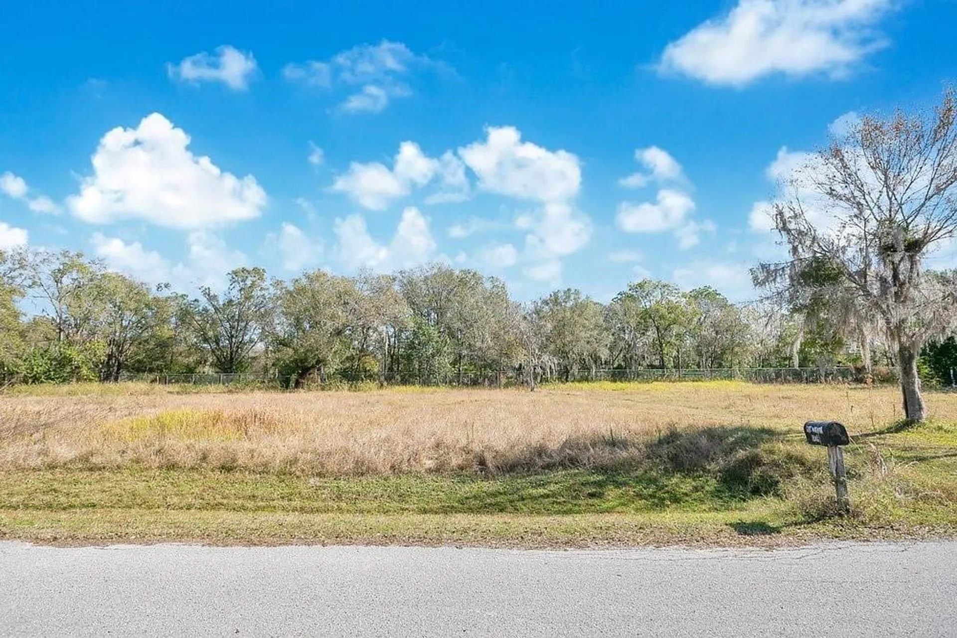 1426 Sierra Pines Boulevard Lutz FL 33558