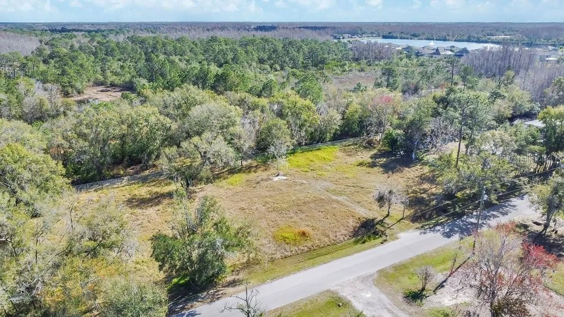 1426 Sierra Pines Boulevard Lutz FL 33558