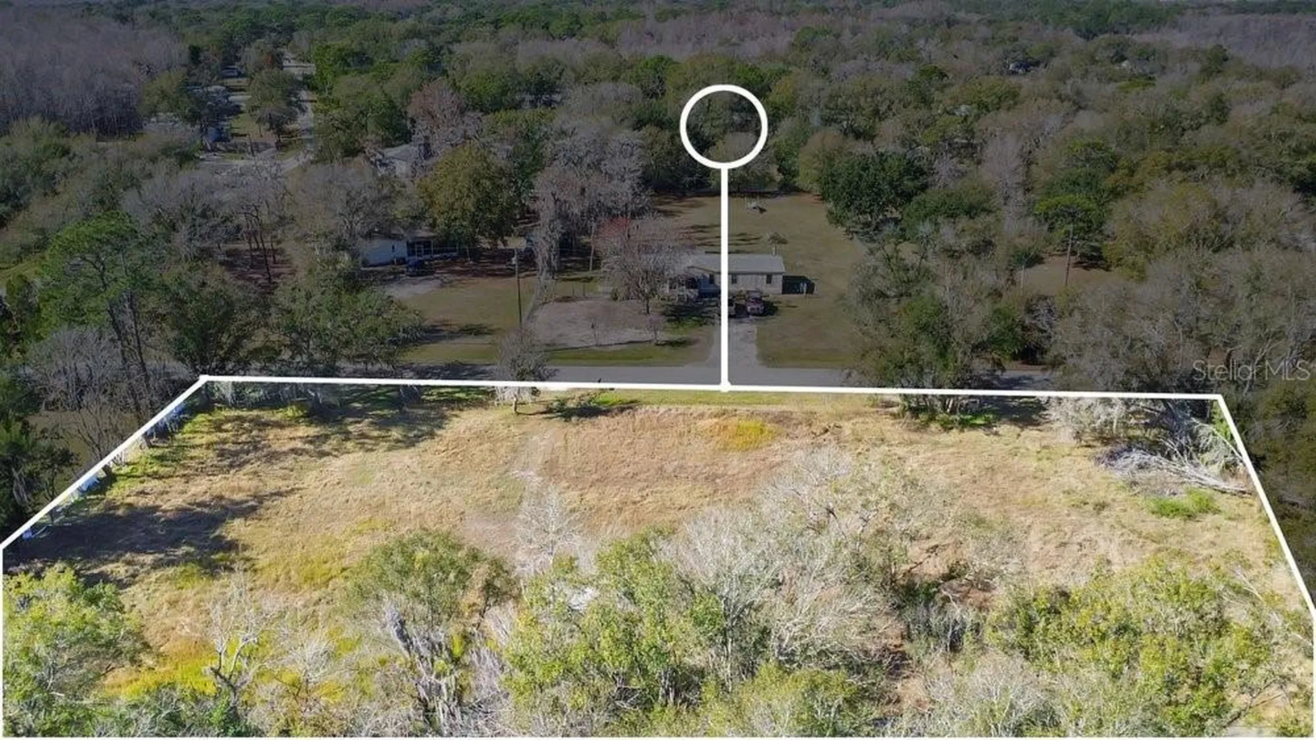 1426 Sierra Pines Boulevard Lutz FL 33558