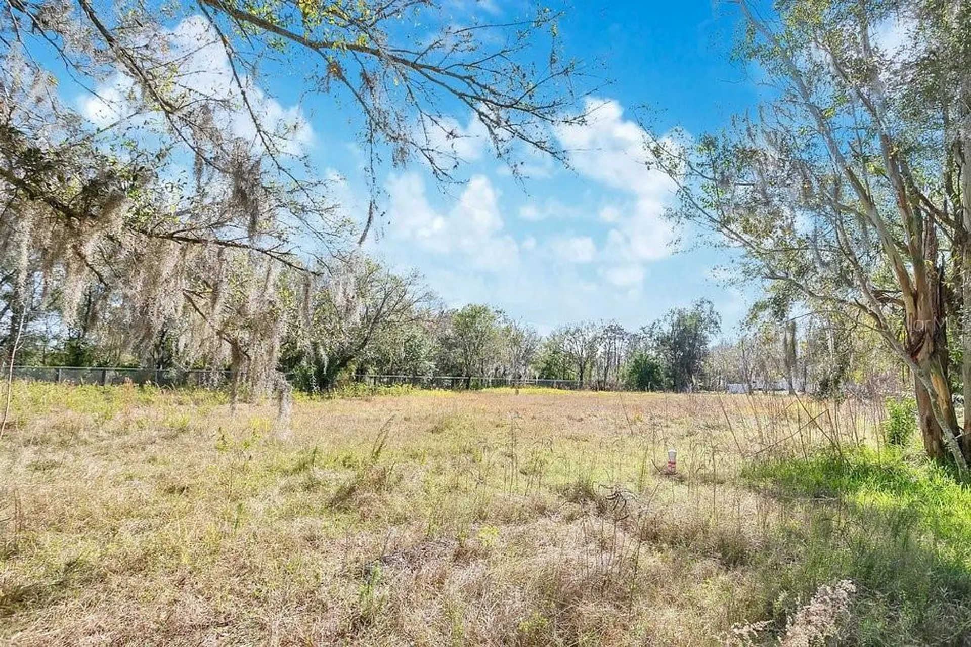 1426 Sierra Pines Boulevard Lutz FL 33558