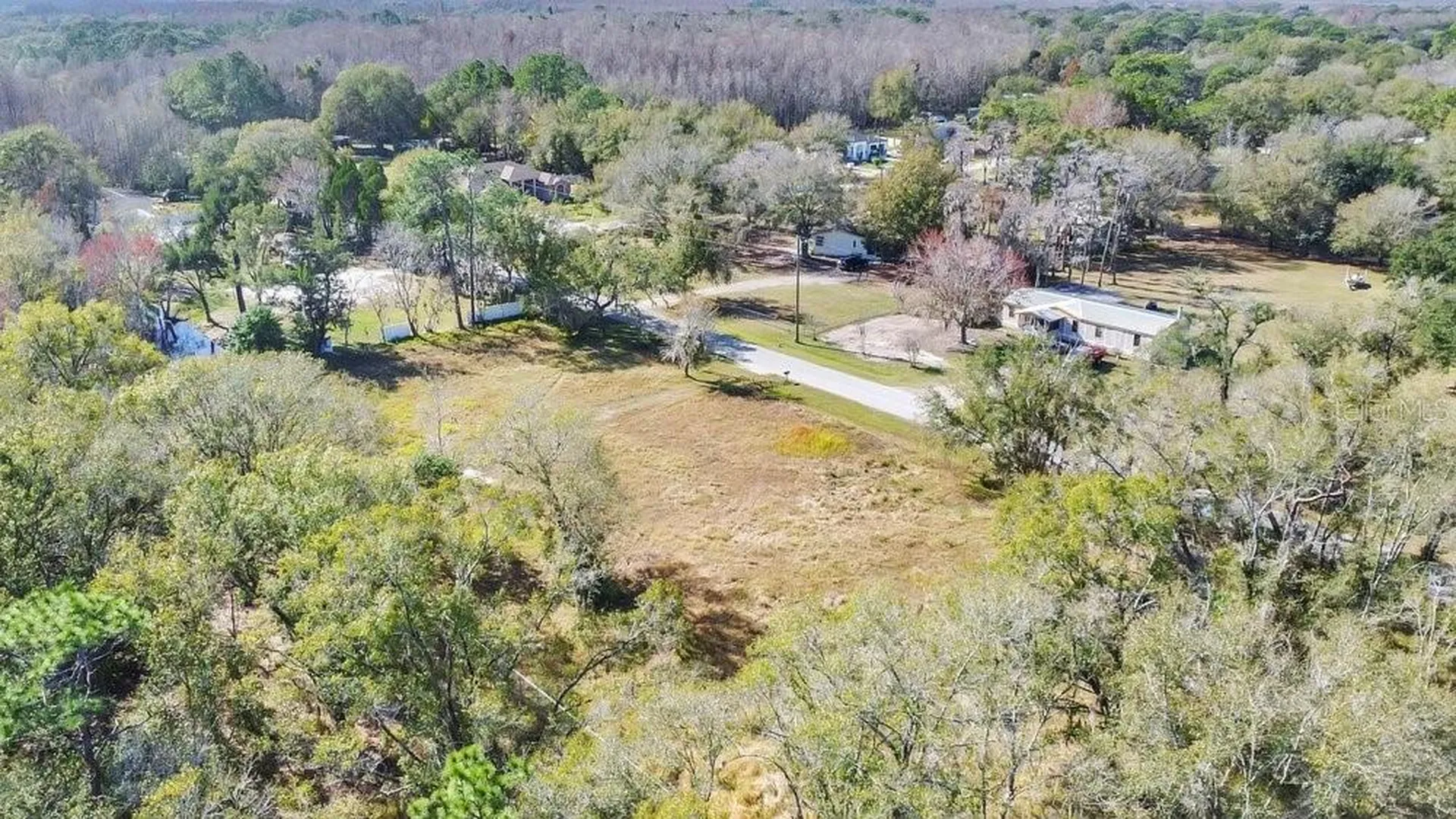1426 Sierra Pines Boulevard Lutz FL 33558