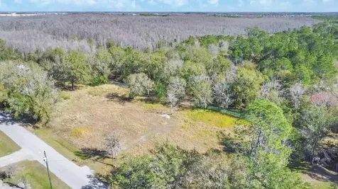 1426 Sierra Pines Boulevard Lutz FL 33558