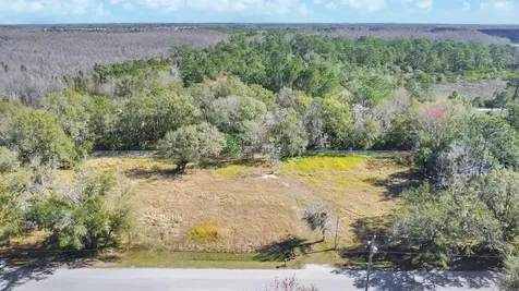 1426 Sierra Pines Boulevard Lutz FL 33558