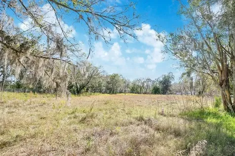 1426 Sierra Pines Boulevard Lutz FL 33558