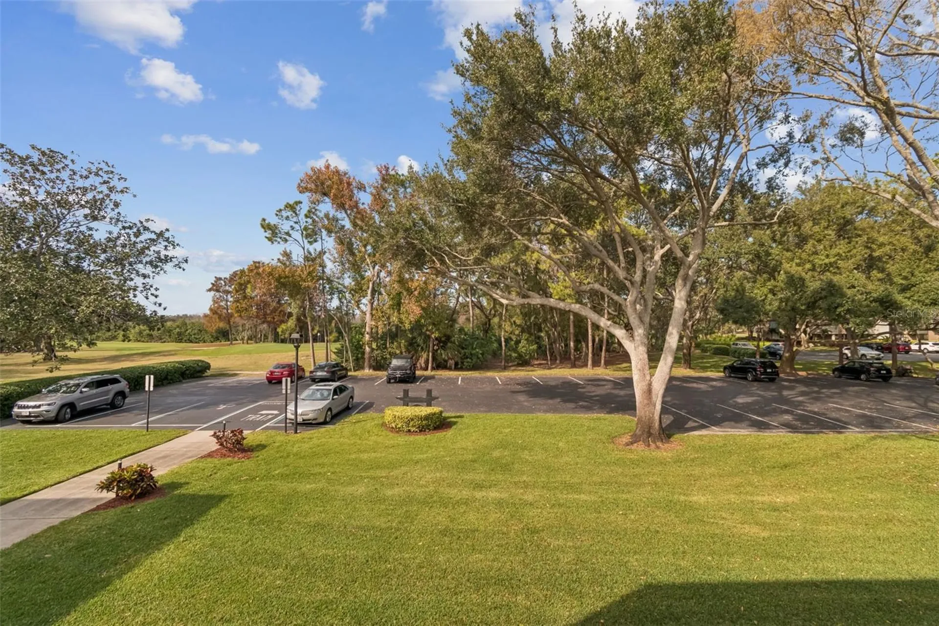 36750 Us Highway 19 N Palm Harbor FL 34684