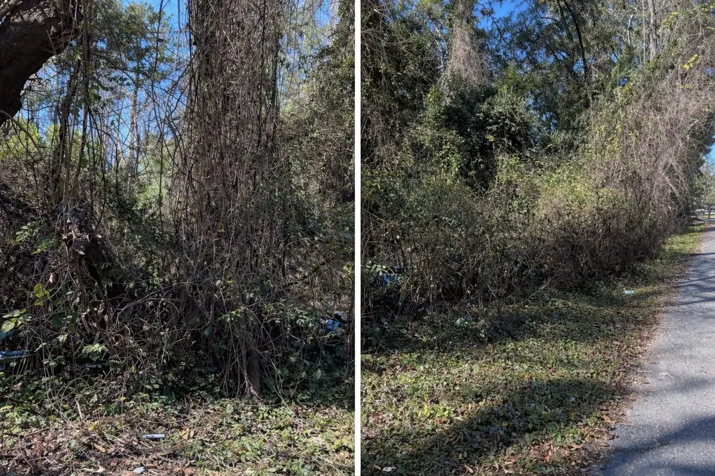 0000 NW 134th Terrace Alachua FL 32615