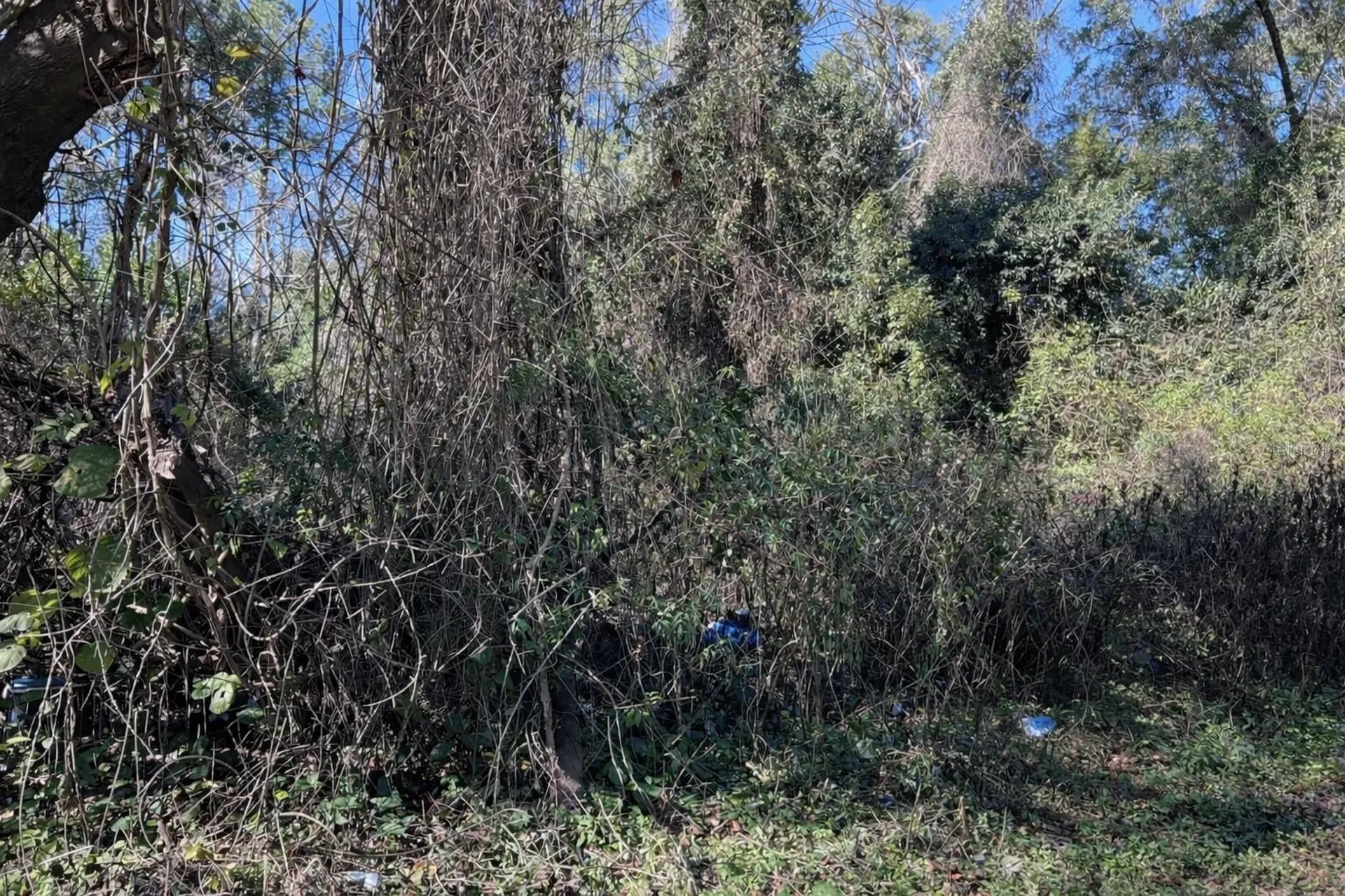 0000 NW 134th Terrace Alachua FL 32615