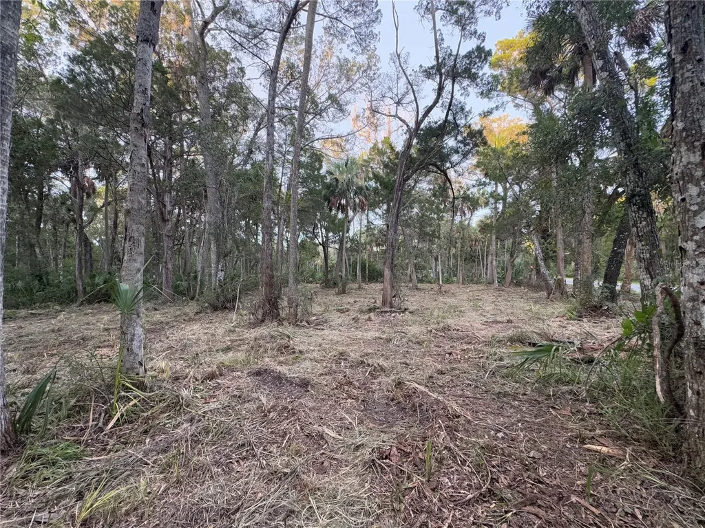 11905 W Eldred Lane Homosassa FL 34448