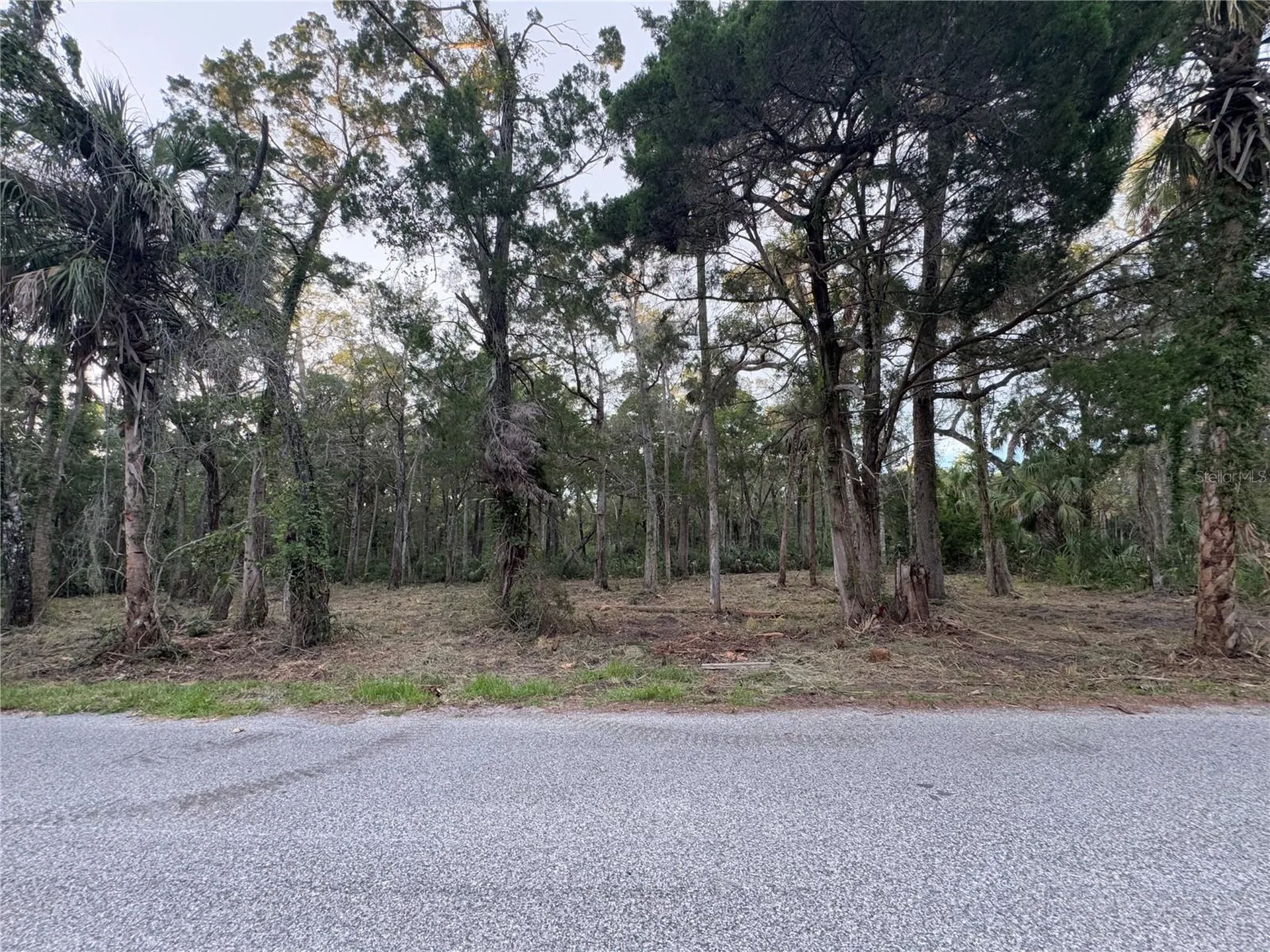 11905 W Eldred Lane Homosassa FL 34448