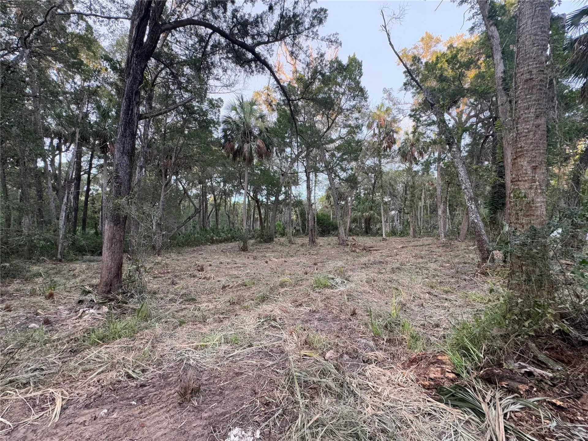 11905 W Eldred Lane Homosassa FL 34448