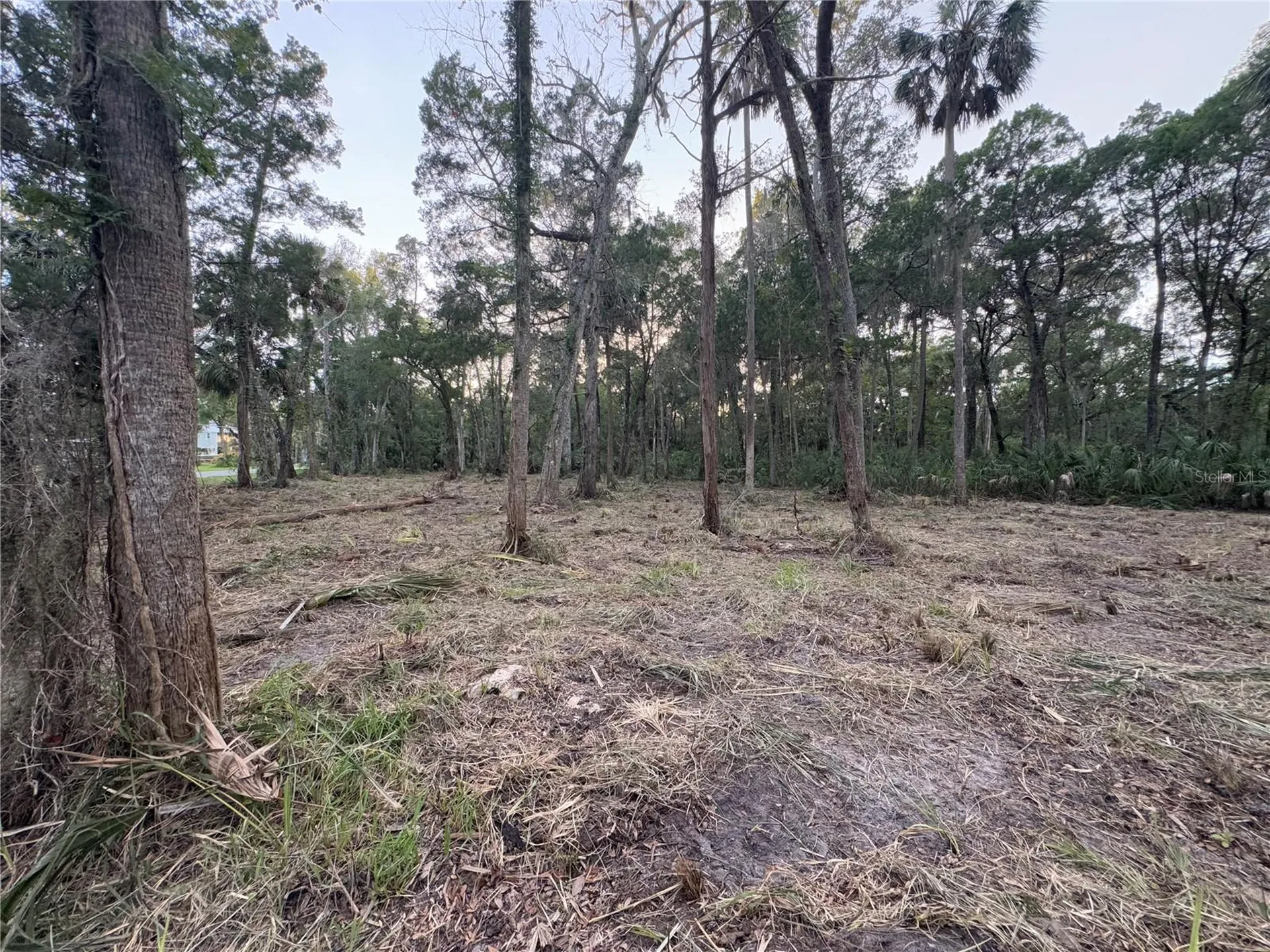 11905 W Eldred Lane Homosassa FL 34448