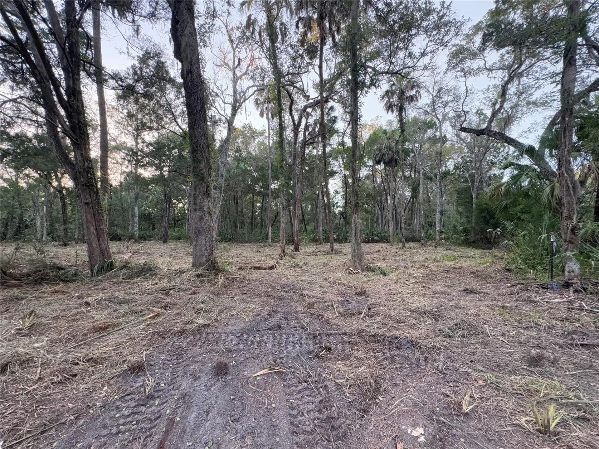 11905 W Eldred Lane Homosassa FL 34448